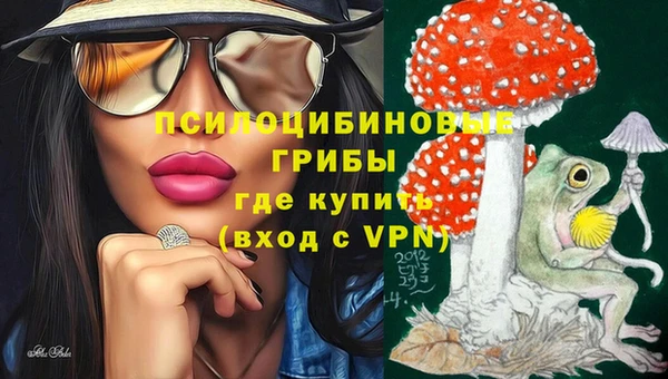 крисы Арсеньев