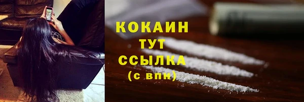 ешки Аркадак