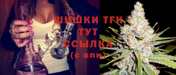ешки Аркадак