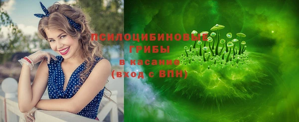 крисы Арсеньев
