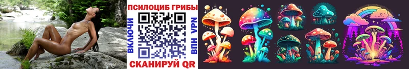 Псилоцибиновые грибы Cubensis Теберда